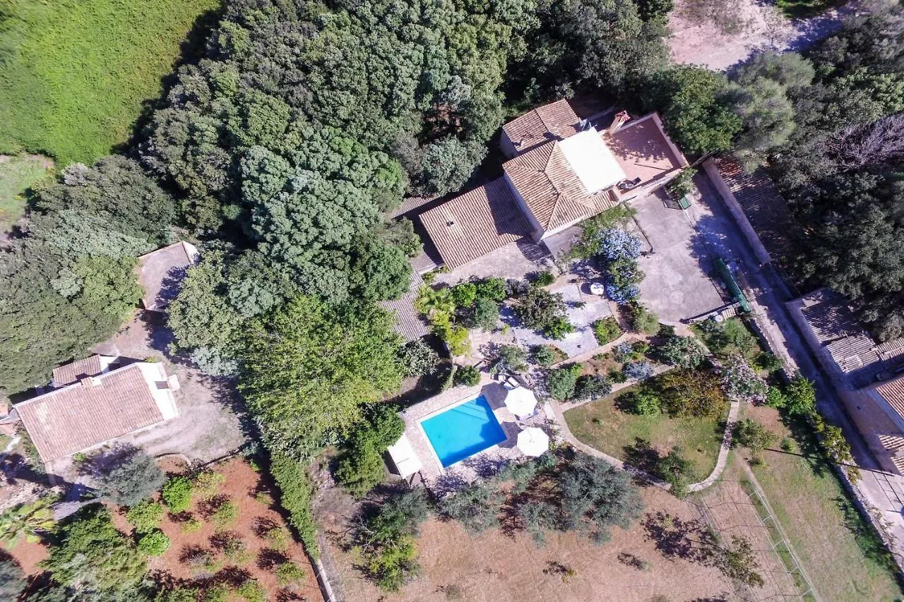 Villa Can Jaume Arta